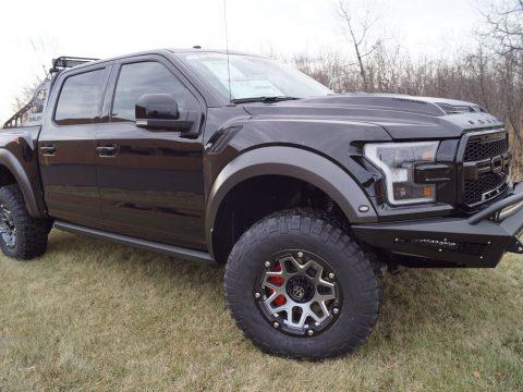 strong beast 2018 Ford F 150 Shelby Baja Raptor 525 HP lifted for sale
