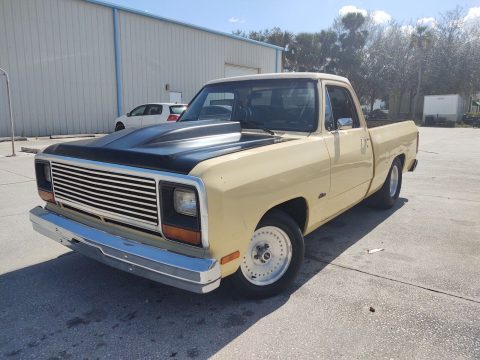 1985 Dodge Truck custom [440 with 727] for sale