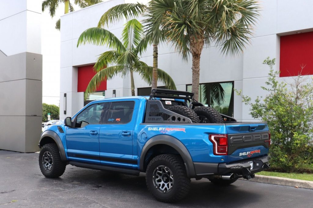 2019 Ford F-150 Raptor lifted [impressive offroad]